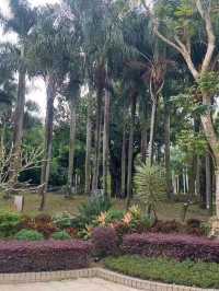 ✨城市中的自然美地✨🌴天水圍公園
