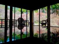 色づく自然アート！秋の芸術の森へ