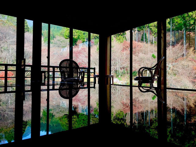色づく自然アート！秋の芸術の森へ