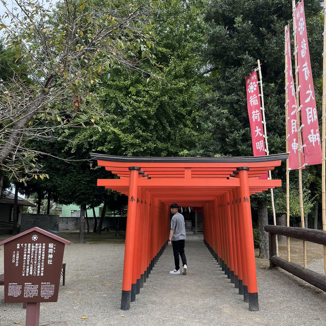 熊本一日遊🇯🇵熊本城+水前寺成趣園