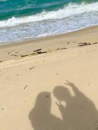 지프차타고 떠난 사막투어🏜️🌵🏝️
