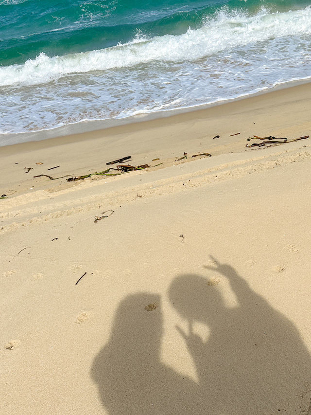 지프차타고 떠난 사막투어🏜️🌵🏝️