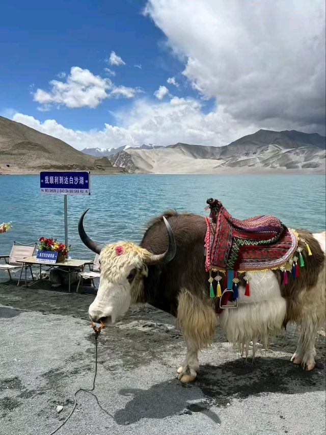 Whispers of the Pamirs: The Magic of Baisha Lake