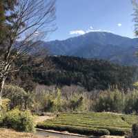 岐阜中山道馬籠宿🇯🇵