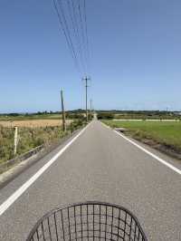 🏝️小浜島の絶景スポット「シュガーロード」🚴‍♀️