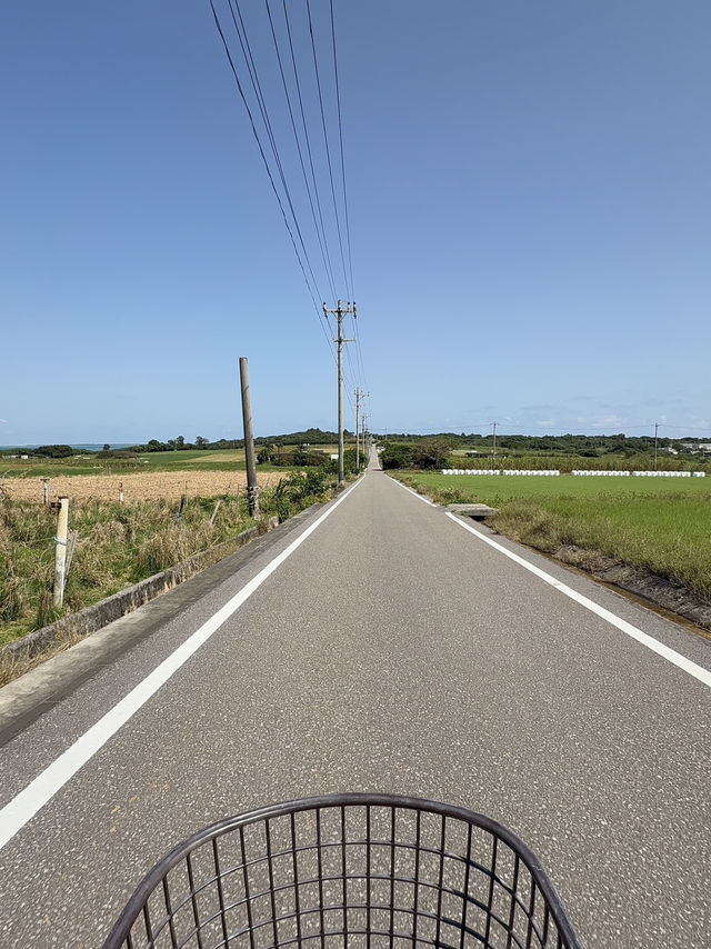 🏝️小浜島の絶景スポット「シュガーロード」🚴‍♀️