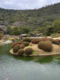 Spring Stroll Through the Timeless Beauty of Ritsurin Garden