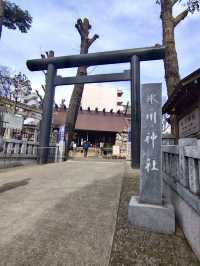 Spring Serenity at Koenji Hikawa Shrine💐