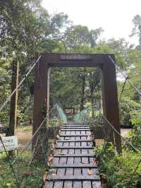 🌿 Tawau Hills Park: Waterfalls, Wild Hikes & a Monkey Surprise! �