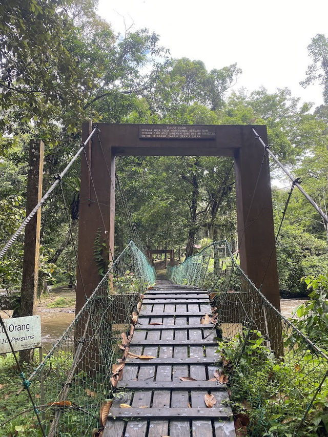 🌿 Tawau Hills Park: Waterfalls, Wild Hikes & a Monkey Surprise! �