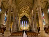 【歴史と信仰の中心地】ノートルダム大聖堂 ⛪🎶