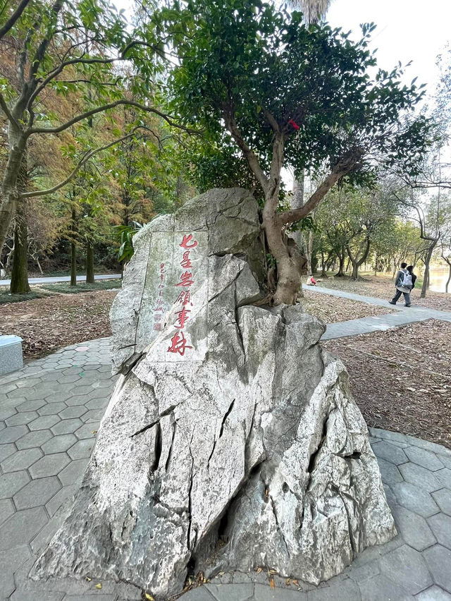 逃離城市喧囂💕躲進肇慶七星巖的綠野仙蹤