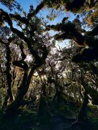 truly mesmerizing, with a remarkable transition from lush grasslands
