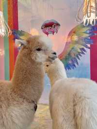 Sweet Moments with Alpacas: Exploring Eatsugarlips Café in Permas City