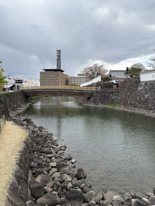 《甲府レトロさんぽプラン》 名物エビフライから街歩き、こだわりカフェまで