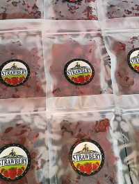 “Sweet Escapes: A Day at Mesilau Strawberry Farm”