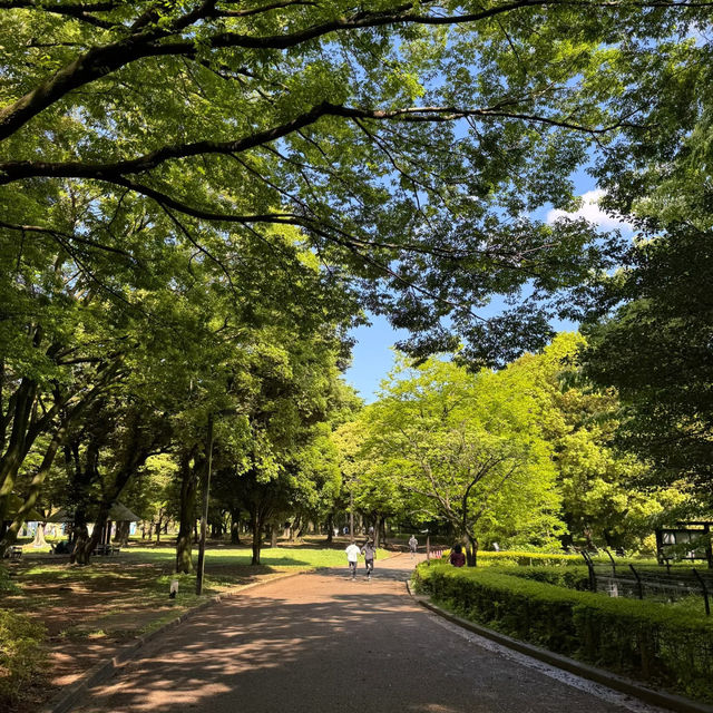  文來公園•城市綠洲的神奇