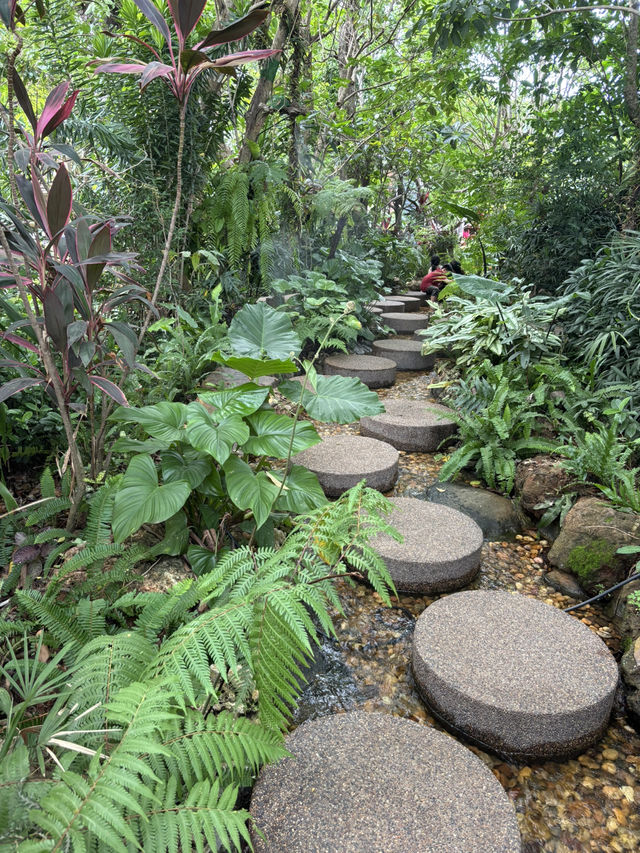 カンボジアシェムリアップ　秘密の花園のようなカフェ