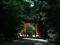 京都最喜歡的下鴨神社