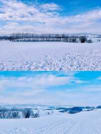 【北海道】美瑛四季彩之丘雪上電單車體驗