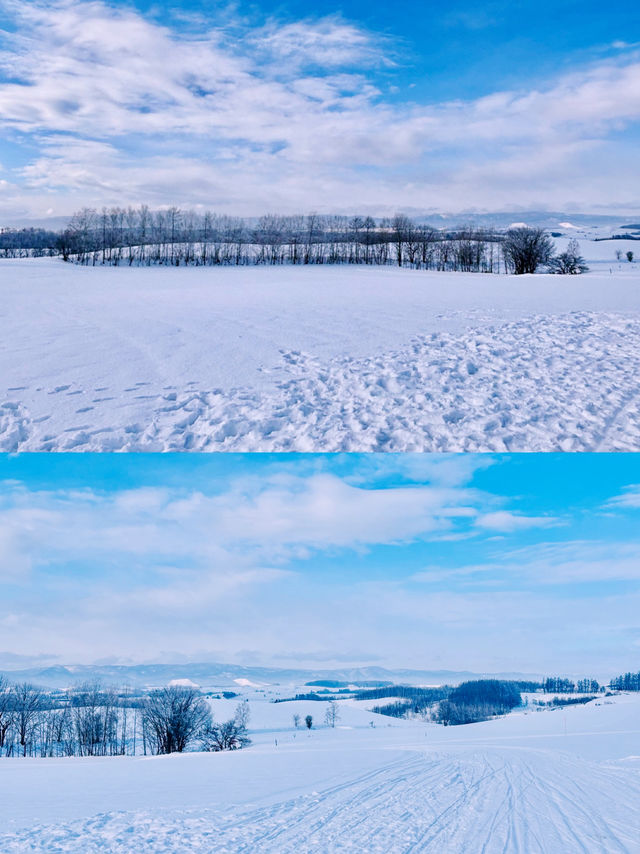 【北海道】美瑛四季彩之丘雪上電單車體驗
