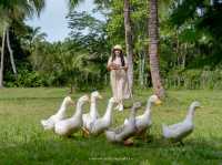เก็บกระเป๋าหนีเมือง พักผ่อนใกล้ชิดธรรมชาติ