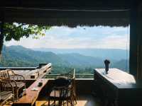ร้าน YAYO FARM คอกาแฟ - คาเฟ่บนดอยช้าง