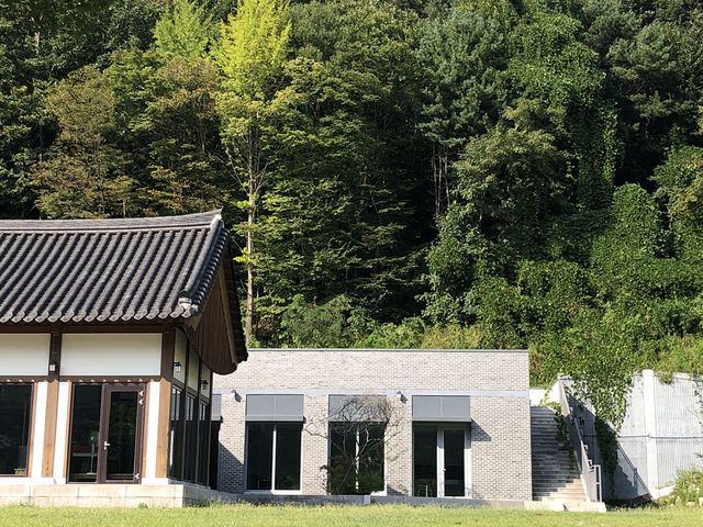 제천에서 만나는 힐링 여정🍂 묵은지 닭도리탕부터 성지 산책, 숲속 리조트까지