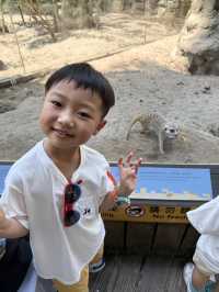 【 台北市立動物園 】  