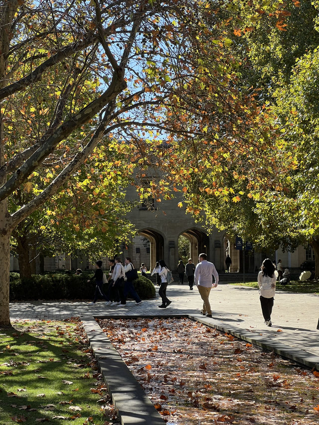 Pretty autumn in Parkville! 