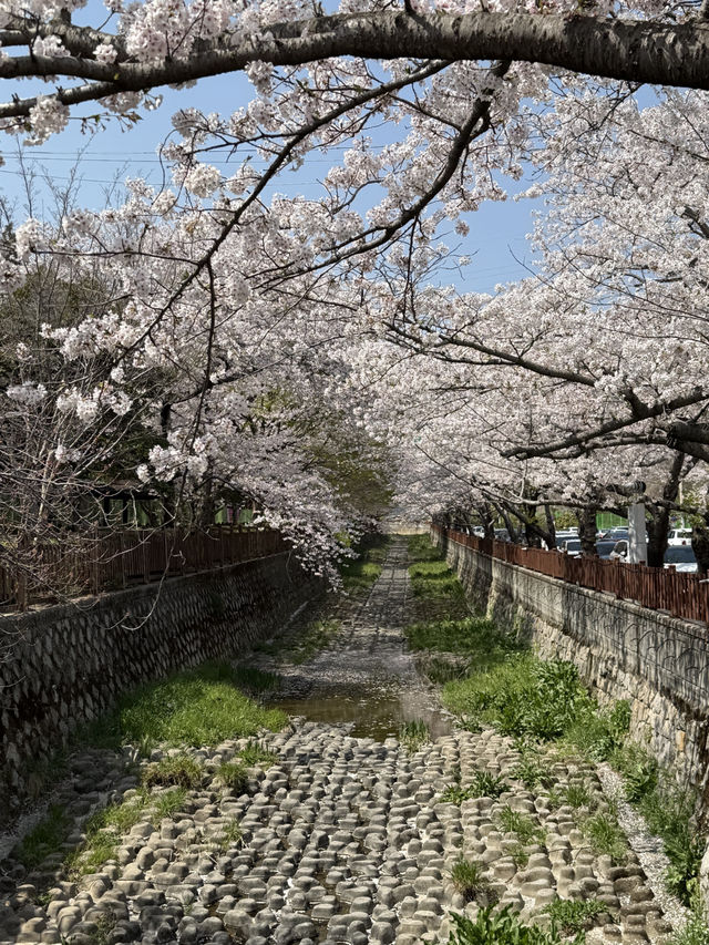 진해 가족 여행 떠나보아요 