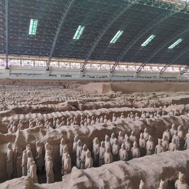 Where Terracotta Warriors Dance With Blossoms