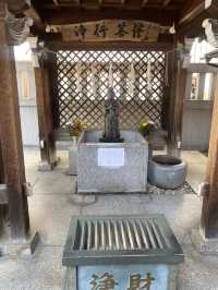 【東京都神楽坂🇯🇵 善國寺】16世紀に創建！七福神が祀られている小さな寺院