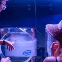 ศูนย์การเรียนรู้ทางทะเล Marine Biological Center