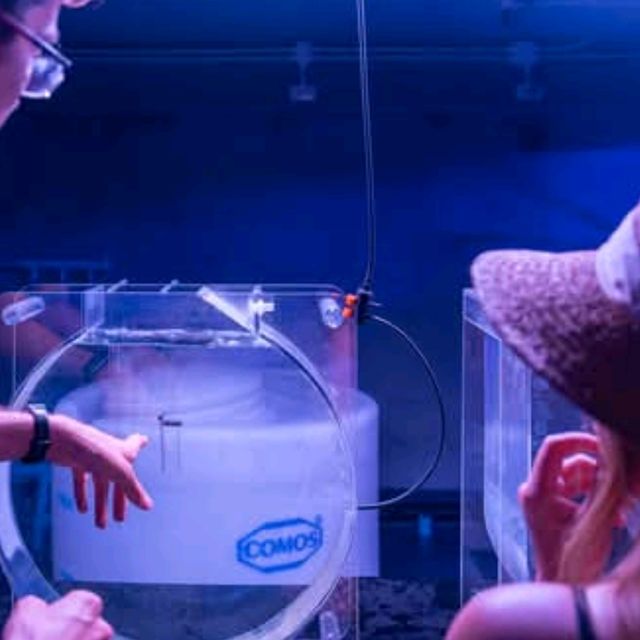 ศูนย์การเรียนรู้ทางทะเล Marine Biological Center