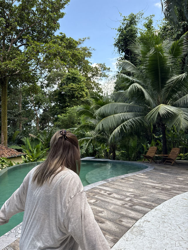 Oasis คาเฟ่ลับๆ ที่โคตรจะลับบนเกาะช้าง ✨🐘