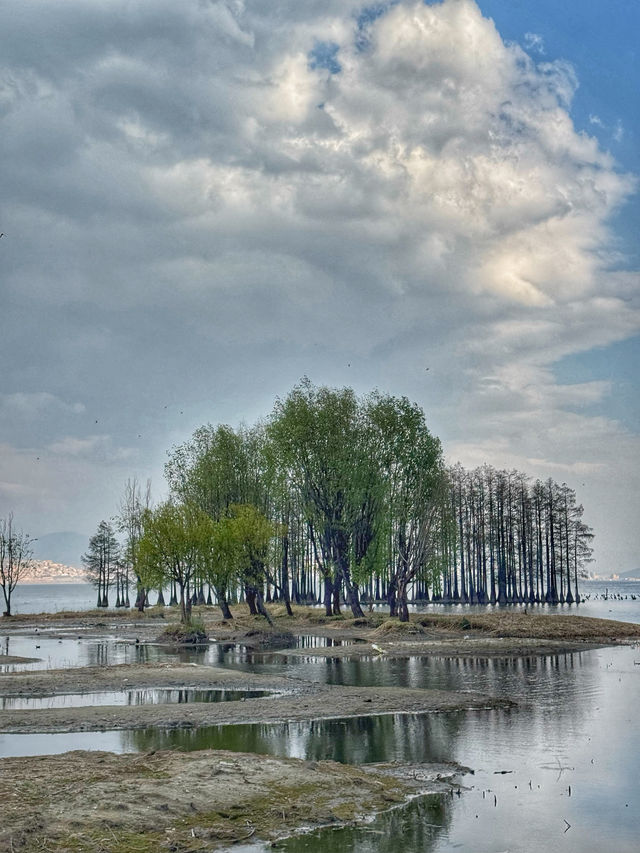 Tranquil Waters & Soft Light: A Spring Escape to Longkan Wharf