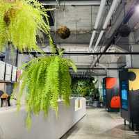 From Drink to Decor – SunnyHills Style