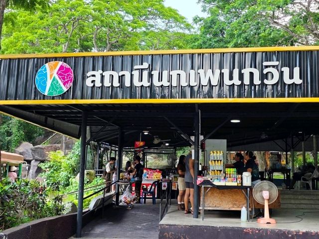 🌳 พาเที่ยวแบบเข้าป่า ที่สวนสัตว์เปิดเขาเขียว 🦒