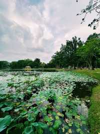 Lotus Dreams & Windy Chimes – A Hidden Gem in Cyberjaya!