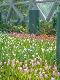📍: Miracle of Natural🌷โครงการ PTT LN
