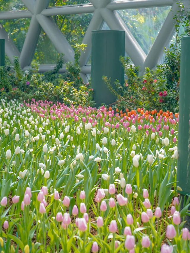 📍: Miracle of Natural🌷โครงการ PTT LN