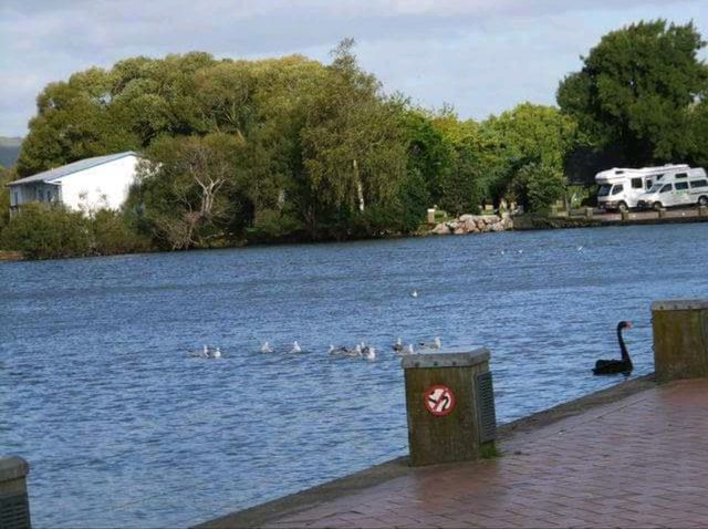 #羅託魯瓦湖Lake Rotorua-紐西蘭羅託魯瓦