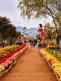 Discovering Daegu: A Perfect Blend of Tradition and Modernity