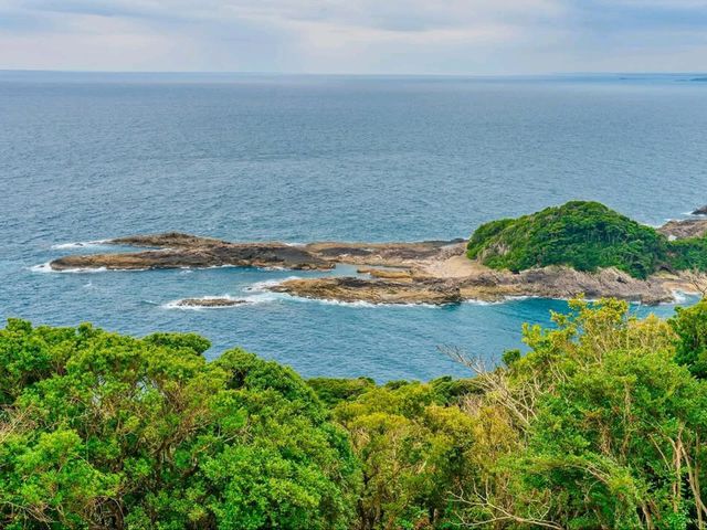 Springtime Thrills on the Edge of Japan