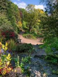 love scouting for a good walk that is full of nature and a complete opposite experience to a grey
