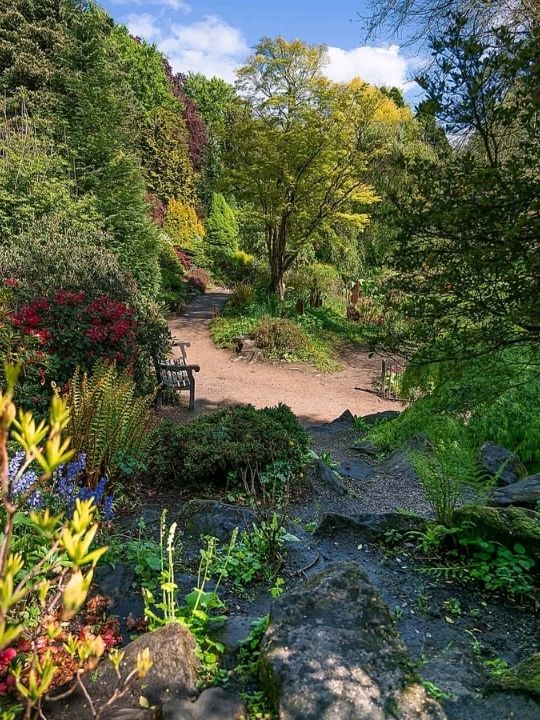love scouting for a good walk that is full of nature and a complete opposite experience to a grey