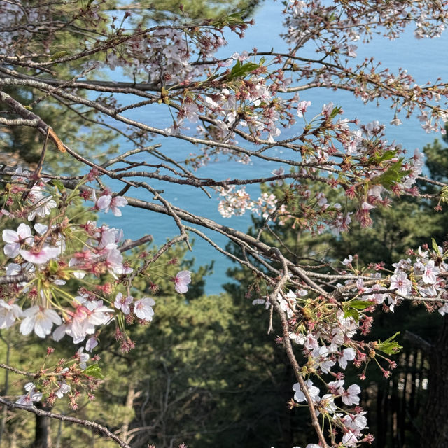 해운대 여행 필수코스