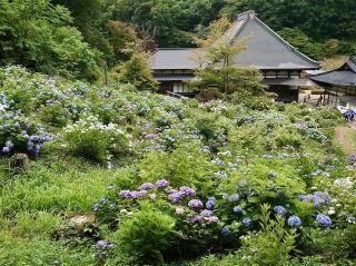 The Magical Yorinji Temple