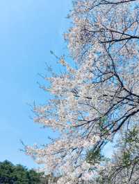 The Beauty of Daewonsa